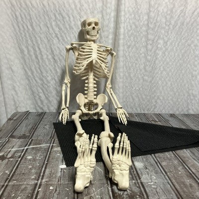 31  Human Skeleton Anatomical Model Portable W/Metal Rods Medical Teaching 