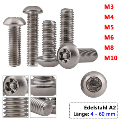 M3 M4 M5 M6 M8 M10 Sicherheitsschrauben mit Linsenkopf TORX+PIN Edelstahl A2 V2A