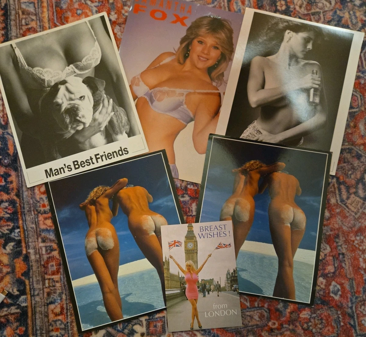6x 1980s Glamour Photo Art Samantha Fox Lingerie Mans Best Friends Beach Bums