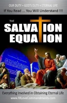 Gabriel Ansley Erb The Salvation Equation (Taschenbuch)