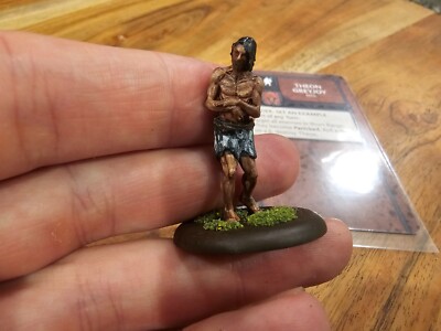 CMON ASOIAF A Song of Ice and Fire DnD Neutral Hero Theon Greyjoy Painted MH07