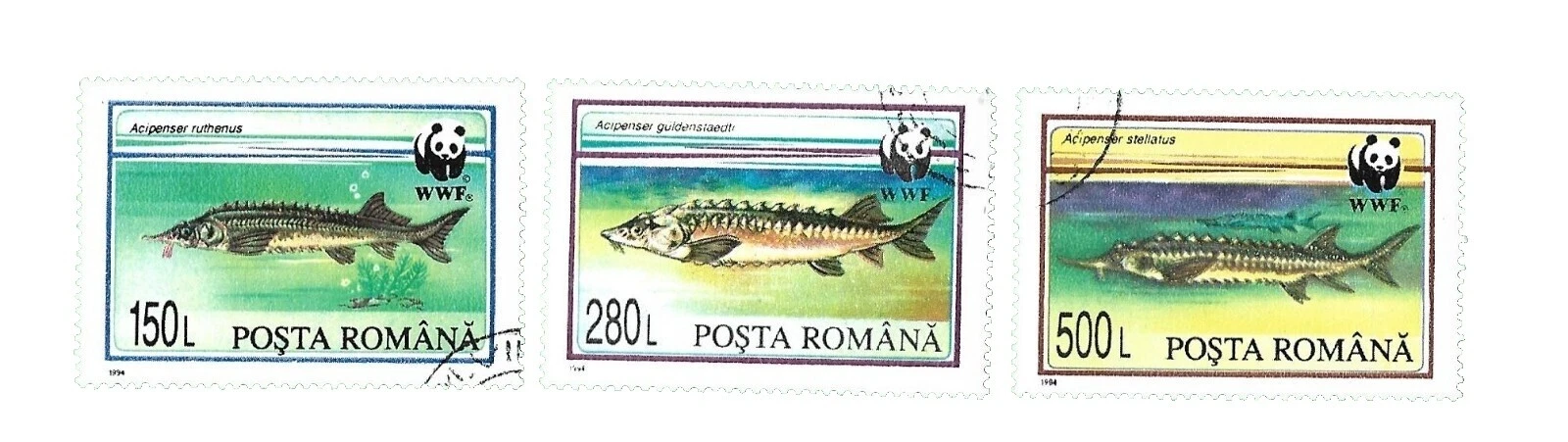 Fish Used Romanian Stamps