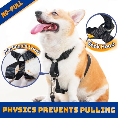 Freedom No Pull Martingale Dog Harness, Safety Grip Chest 19"22