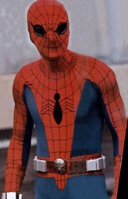 Spiderman TV Show Studio Photo Poster Framing Print 8 x 10