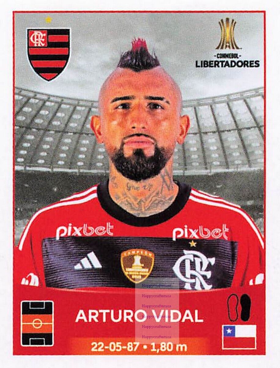2023 PANINI CONMEBOL Copa Libertadores Sticker #021 DAVID LUIZ - FLAMENGO •  $4.99 in 2023