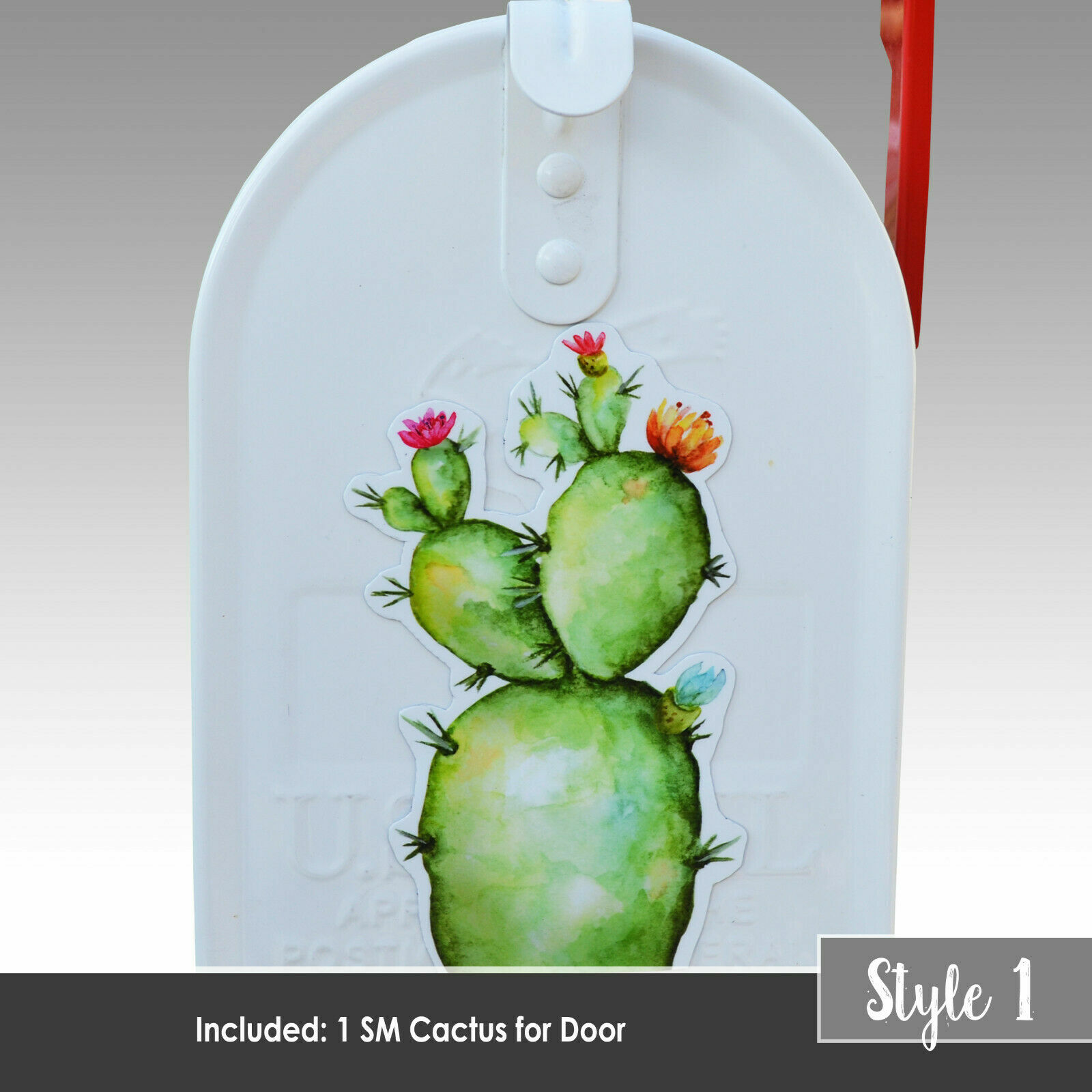 Mailbox Magnet (Partial Cover) Cactus Prickly Pear for Mail Box Car Fridge Door