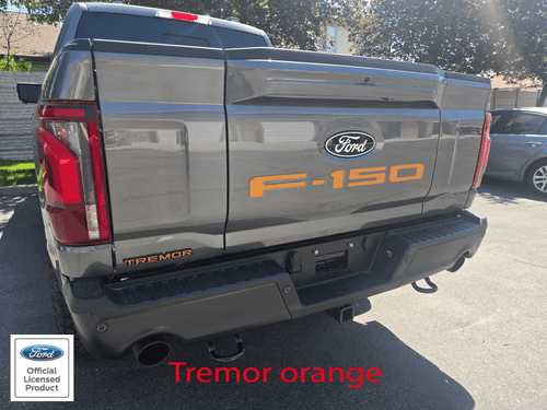 2021-2025 Ford F-150 tailgate letters F150 vinyl inserts decals stickers - Picture 6 of 10