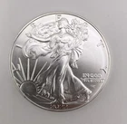 2022 American Silver Eagle 1 oz .999 Fine Silver BU – From Mint Tube
