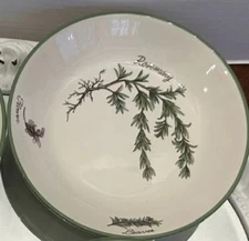 Over and Back Italy Herb Garden Pasta 9.5" Bowl ROSEMARY