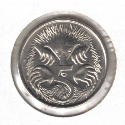 2025 AUSTRALIA Brillant Uncirculated Five Cent KCIII & Echidna Coin!