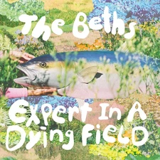 The Beths - Expert In A Dying Field＜Silver Vinyl＞ [LP record]