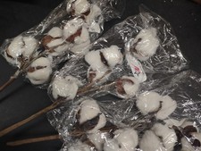 3 Dried Cotton Branches, 12 Inches Long, 2 Inch Wide Heads, 15-18 Total Bolls
