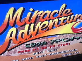 MIRACLE ADVENTURE NEO GEO AES SNK neogeo Japan