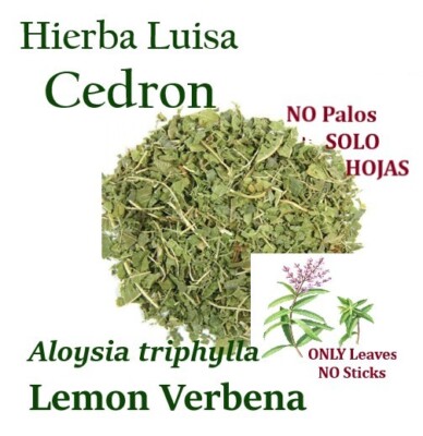 CEDRON 6 BOLSAS NO PALOS PURA HOJAS quebradas Hierba Luisa LEMON VERBENA