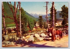 Vintage Pahelgaon Landscape Kashmir India Color Postcard L.R. Trading Co.
