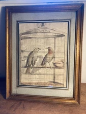DESSIN ANCIEN-ENCRE AQUARELLE -LA VOLIERE -OISEAUX -19IEM SIECLE- CAGE
