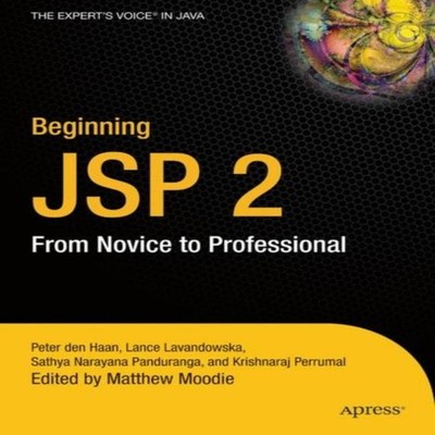 Beginning JSP 2 From Novice to Professional Peter Den Haan Paperb