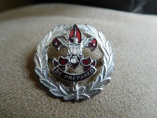 FD SCOUT BSA COUNCIL EXECUTIVE COLLAR BRASS P...