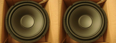 10'' Poly Home Audio Woofer Speakers Subwoofer Pair Replacement 160w 8ohm 10inch