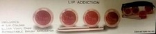 ME Makeover Essentials Lip Addiction 4 Lip Colors Case Brush New MSRP $32.99