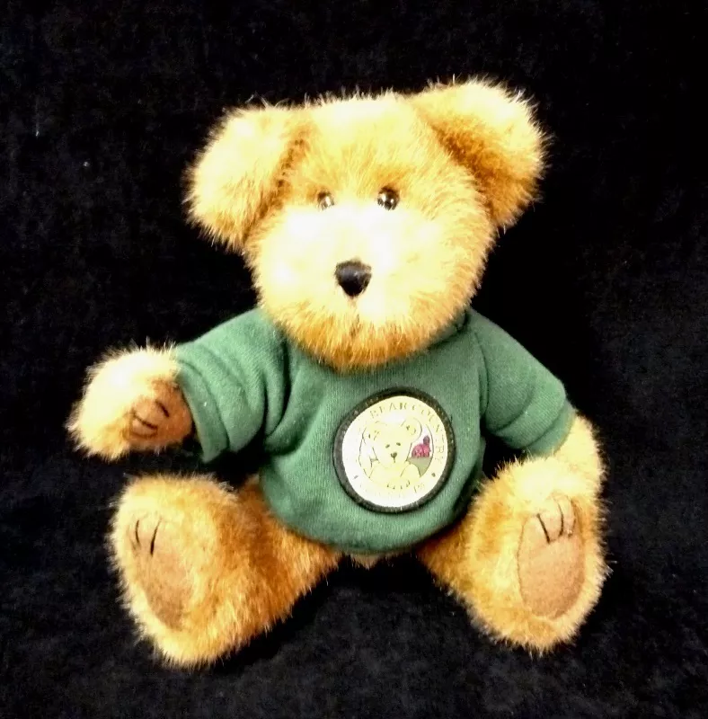 Bears green sweatshirt top
