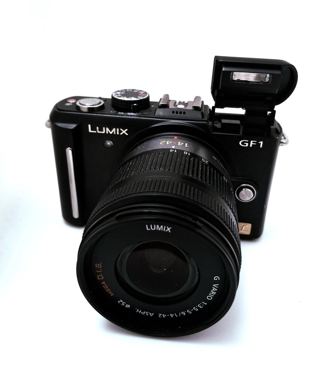 Panasonic Lumix DMC-GF1 - - The free camera Panasonic LUMIX DMC