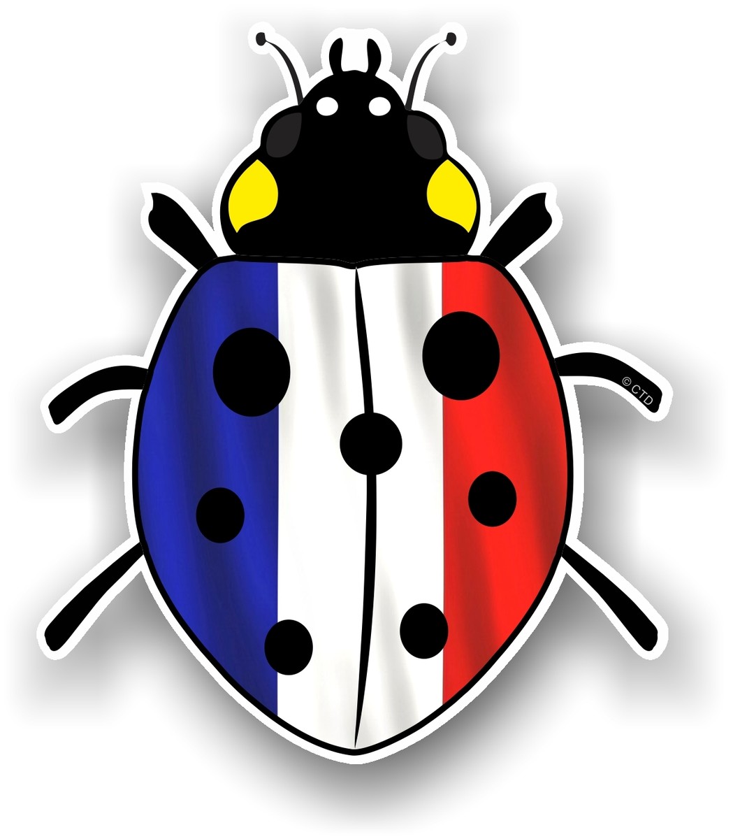 Cute Ladybug Ladybird Insect Bug Die Cut Vinyl Decal Sticker For Car...