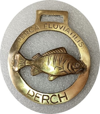 PERCH - COARSE FISH - scarce horse brass (8639)