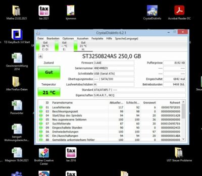 250 GB Seagate ST3250824AS SATA II 7200 RPM 3,5 Zoll intern Festplatte
