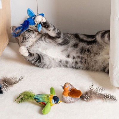 Simulation Bird Interactive Toy Funny Cat Stick Toy Furry Feather Cat Stick -yp