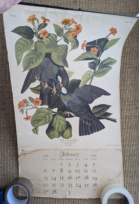 1949 Audubon Vögel des amerikanischen Kalenders, Northwestern Mutual Life Ins As Is