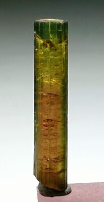 Saturated Multi Colour Terminated Tourmaline Crystal From Paprok Mine Afg