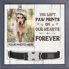 Pawfect House 9x9 Pet Loss Sign - Dog & Cat Memorial Frame, Pet Loss Gifts