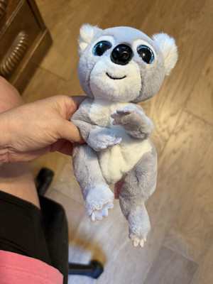 TY BEANIE BELLIES CUTE MELLY THE KOALA BEAR PLUSH TOY WITH FREE SHIPPING