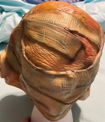 Mummy Horror Latex Mask Deluxe Halloween Universal Studios Costume Full Head - Picture 4 of 6
