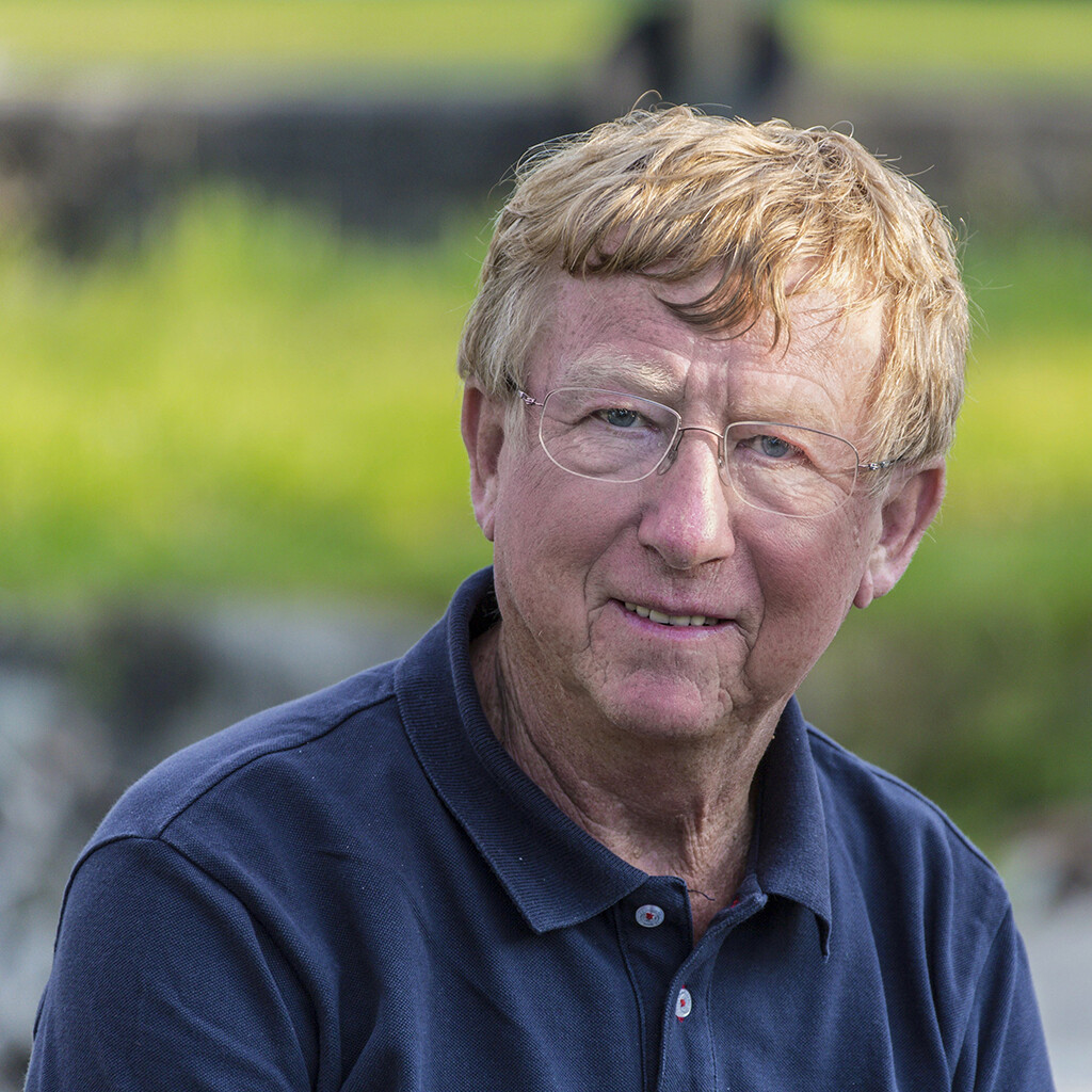 Thumbnail - Palmen An Backbord Harald H. Risius