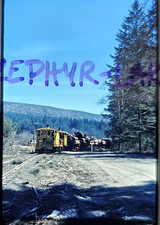 ZL-1864 Oryginalna zjeżdżalnia Weyerhaeuser #2901 Przeprawa Pełny pociąg z bali Marcola OR '82