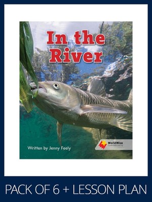 WorldWise Guided Reading Pack Level 3, Pack 2: Student book (x6) and lesson plan