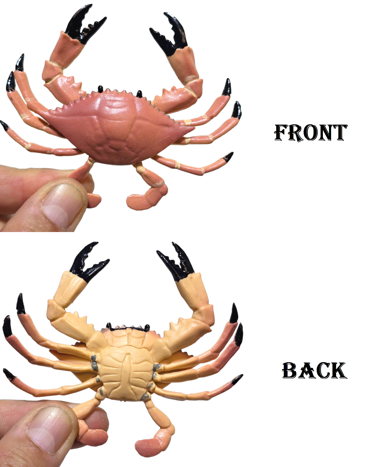 https://i.ebayimg.com/images/g/Q6oAAeSwVLtpHJ9z/s-l1600.png