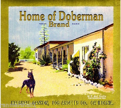 Marshall Canyon Home of Doberman Pinscher Dog Orange Fruit Crate Label Art Print