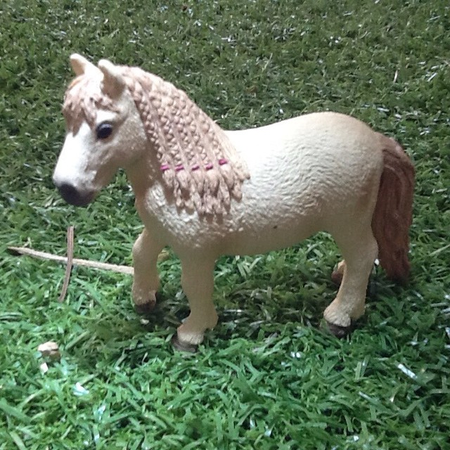 schleich shetland pony mare