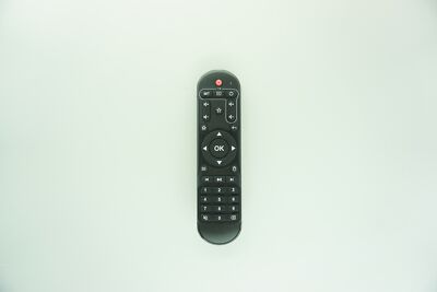 2pcs Ersatz Fernbedienung für X96Max HK1Max V88Pro X96Mini X88 T95 TV 4K Box