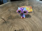 Vintage Littlest Pet Shop Grooviest Owl In Display — photo 3