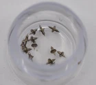 omega watch part 1010-1321 balance staff fit 1010 1011 1012 1020 1021 1022 1030