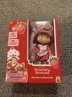 2024 world of Strawberry shortcake fashion doll New In Box — photo 1