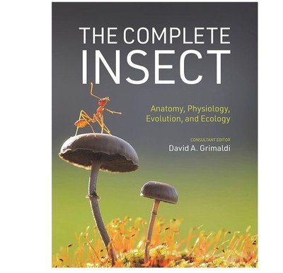 The Complete Insect: Anatomy, Physiology, Evolution, and Ecology (Hardback or Ca