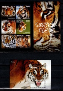 Download Svg St Vincent Grenadines 2014 Wild Animals Tigers Sh Mi 285 290 Bl Mi 50 Ebay Yellowimages Mockups