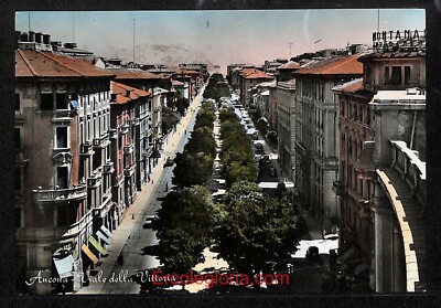 ad9584 - VINTAGE POSTCARD - Ancona City - Viale della Vittoria