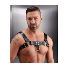 English Bull Dog Harness