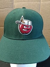Fort Wayne Tincaps Minor League Baseball Hat Green Forty Seven '47 Youth Size